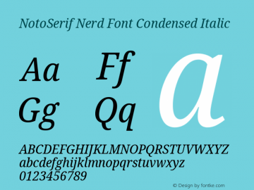 Noto Serif Condensed Italic Nerd Font Complete Version 2.000;GOOG;noto-source:20170915:90ef993387c0; ttfautohint (v1.7)图片样张