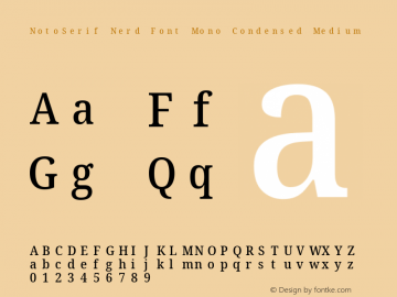 Noto Serif Condensed Medium Nerd Font Complete Mono Version 2.000;GOOG;noto-source:20170915:90ef993387c0; ttfautohint (v1.7)图片样张