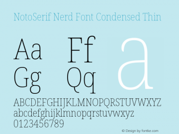 Noto Serif Condensed Thin Nerd Font Complete Version 2.000;GOOG;noto-source:20170915:90ef993387c0; ttfautohint (v1.7)图片样张