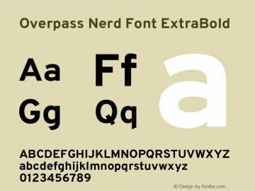 Overpass ExtraBold Nerd Font Complete Version 3.000;DELV;Overpass图片样张
