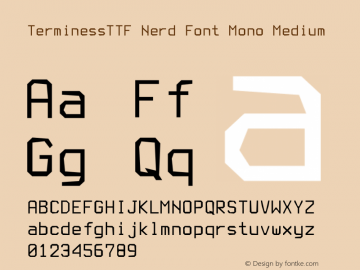 Terminess (TTF) Nerd Font Complete Mono Version 4.40.1;Nerd Fonts 2. Font Sample