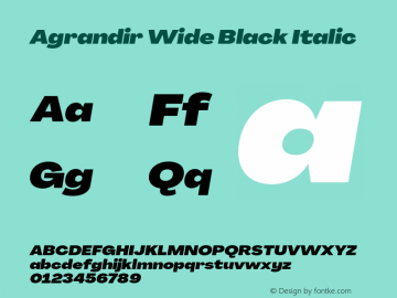 Agrandir Wide Black Italic Version 3.000;hotconv 1.0.109;makeotfexe 2.5.65596 Font Sample