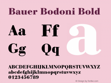 BauerBod-Bol Version 1.000;PS 1.00;hotconv 1.0.57;makeotf.lib2.0.21895 Font Sample