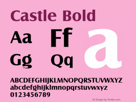 Castle Bold Version 1.00 Font Sample