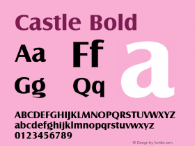 Castle Bold Version 1.00图片样张