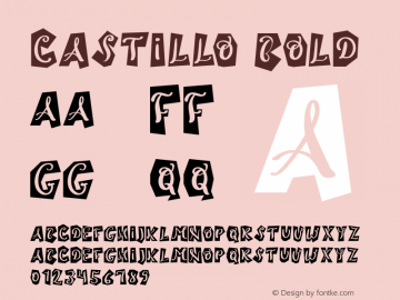 Castillo-Bold Version 1.000;PS 001.001;hotconv 1.0.56图片样张