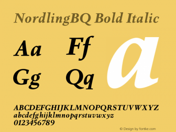 NordlingBQ Bold Italic Version 1.001图片样张