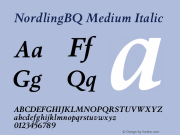 NordlingBQ-MediumItalic 001.001图片样张