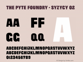 The Pyte Foundry - Syzygy 02 Version 1.000;PS 001.000;hotconv 1.0.88;makeotf.lib2.5.64775图片样张