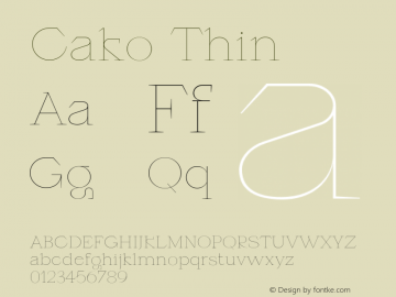 Cako-Thin Version 1.000;PS 001.000;hotconv 1.0.88;makeotf.lib2.5.64775 Font Sample