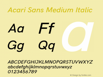 Acari Sans Medium Italic Version 1.045;December 5, 2019;FontCreator 12.0.0.2547 64-bit; ttfautohint (v1.6) Font Sample
