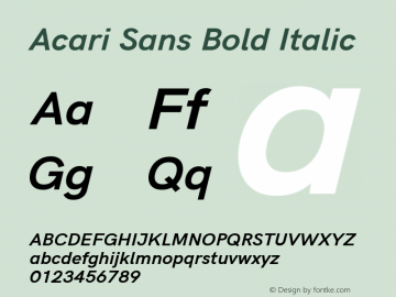 Acari Sans Bold Italic Version 1.045;December 5, 2019;FontCreator 12.0.0.2547 64-bit; ttfautohint (v1.6) Font Sample