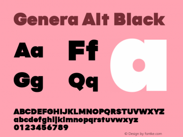 Genera Alt Black Version 1.000图片样张