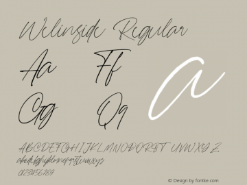 Welinside 1.000 Font Sample