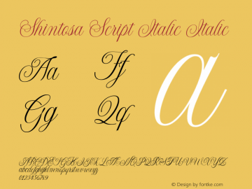 ShintosaScriptItalic-Italic Version 1.000图片样张