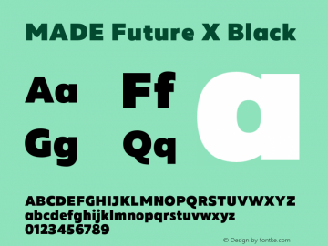 MADEFutureX-Black Version 1.000图片样张