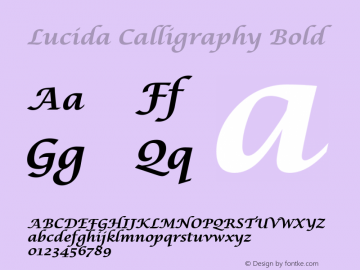 the word family in lucida calligraphy font