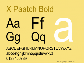 X Paatch Bold Version 1.8图片样张