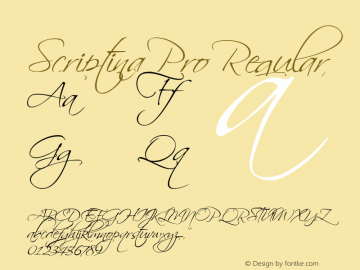 Scriptina Pro Version 12.000 Font Sample