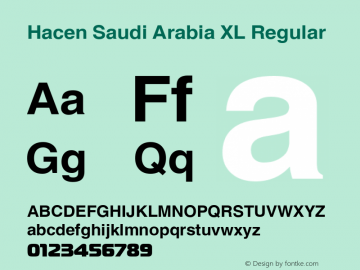 Hacen Saudi Arabia XL Version 1.00 2007图片样张