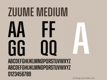 Zuume Medium Version 1.000;hotconv 1.0.109;makeotfexe 2.5.65596 Font Sample