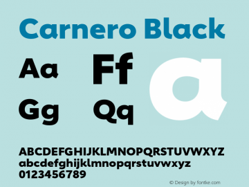 Carnero-Black Version 1.10, build 11, s3图片样张