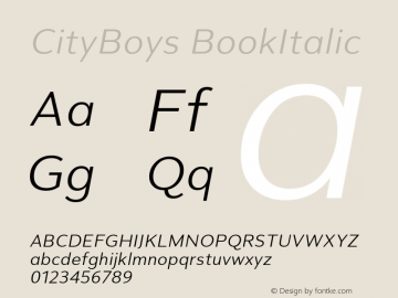 CityBoys-BookItalic Version 1.00图片样张