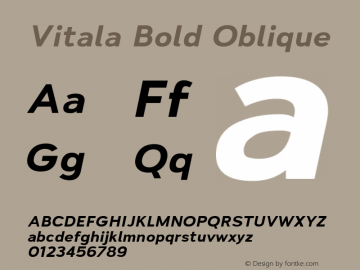 Vitala Bold Oblique Version 1.000图片样张