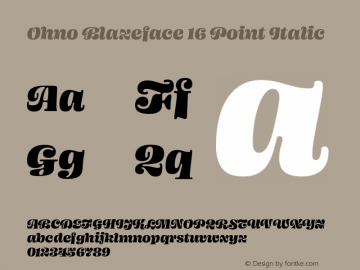 Ohno Blazeface 16 Point Italic Version 1.100;PS 1.000;hotconv 16.6.54;makeotf.lib2.5.65590 Font Sample