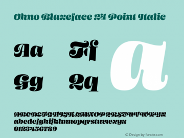 Ohno Blazeface 24 Point Italic Version 1.100;PS 1.000;hotconv 16.6.54;makeotf.lib2.5.65590图片样张