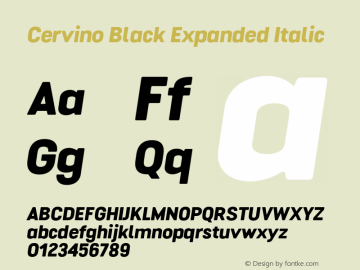 Cervino Black Expanded Italic Version 1.000;hotconv 1.0.109;makeotfexe 2.5.65596图片样张