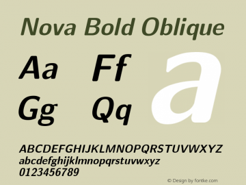 Nova Bold Oblique Unknown图片样张