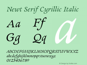 Newt Serif Cyrillic Italic Version 1图片样张