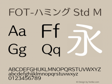 FOT-ハミング Std M 图片样张