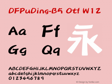 DFPuDing-B5 Otf W12 图片样张