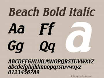 BeachBoldItalic 1.0 Tue Jul 27 16:13:17 1993 {DfLp-URBC-66E7-7FBL-FXFA} Font Sample