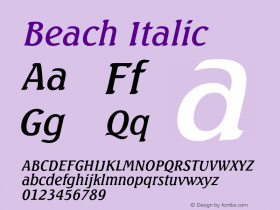 BeachItalic 1.0 Tue Jul 27 16:18:48 1993 {DfLp-URBC-66E7-7FBL-FXFA} Font Sample