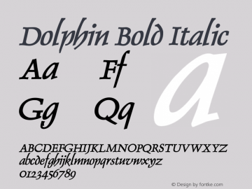 DolphinBoldItalic 1.0 Mon Jul 26 22:28:10 1993 {DfLp-URBC-66E7-7FBL-FXFA}图片样张
