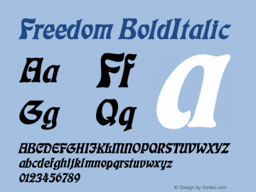 FreedomBoldItalic Altsys Fontographer 4.1 1/4/95 {DfLp-URBC-66E7-7FBL-FXFA}图片样张