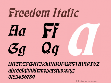 FreedomItalic Altsys Fontographer 4.1 1/4/95 {DfLp-URBC-66E7-7FBL-FXFA}图片样张