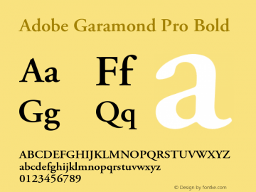 Adobe Garamond Pro Bold Version 2.040;PS 2.000;hotconv 1.0.51;makeotf.lib2.0.18671图片样张