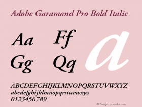 Adobe Garamond Pro Bold Italic Version 2.040;PS 2.000;hotconv 1.0.51;makeotf.lib2.0.18671 Font Sample