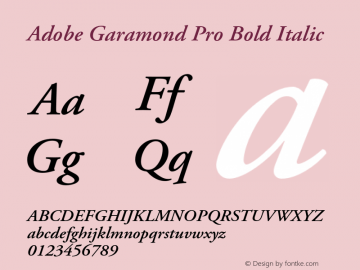 Adobe Garamond Pro Bold Italic Version 2.040;PS 2.000;hotconv 1.0.51;makeotf.lib2.0.18671图片样张