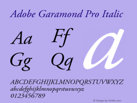 Adobe Garamond Pro Italic Version 2.040;PS 2.000;hotconv 1.0.51;makeotf.lib2.0.18671 Font Sample