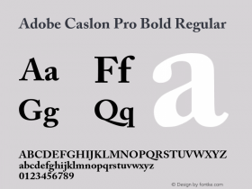 Adobe Caslon Pro Bold Regular OTF 1.009;PS 001.000;Core 1.0.27;makeotf.lib1.3.1图片样张