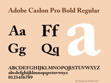 Adobe Caslon Pro Bold Regular OTF 1.012;PS 001.000;Core 1.0.30;makeotf.lib1.4.1030 Font Sample