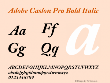Adobe Caslon Pro Bold Italic OTF 1.012;PS 001.000;Core 1.0.30;makeotf.lib1.4.1030 Font Sample