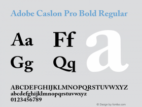 Adobe Caslon Pro Bold Regular OTF 1.012;PS 001.000;Core 1.0.30;makeotf.lib1.4.1030图片样张