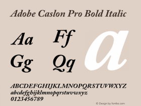 Adobe Caslon Pro Bold Italic OTF 1.012;PS 001.000;Core 1.0.30;makeotf.lib1.4.1030图片样张