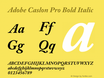 Adobe Caslon Pro Bold Italic Version 2.015;PS 002.000;hotconv 1.0.51;makeotf.lib2.0.18671 Font Sample